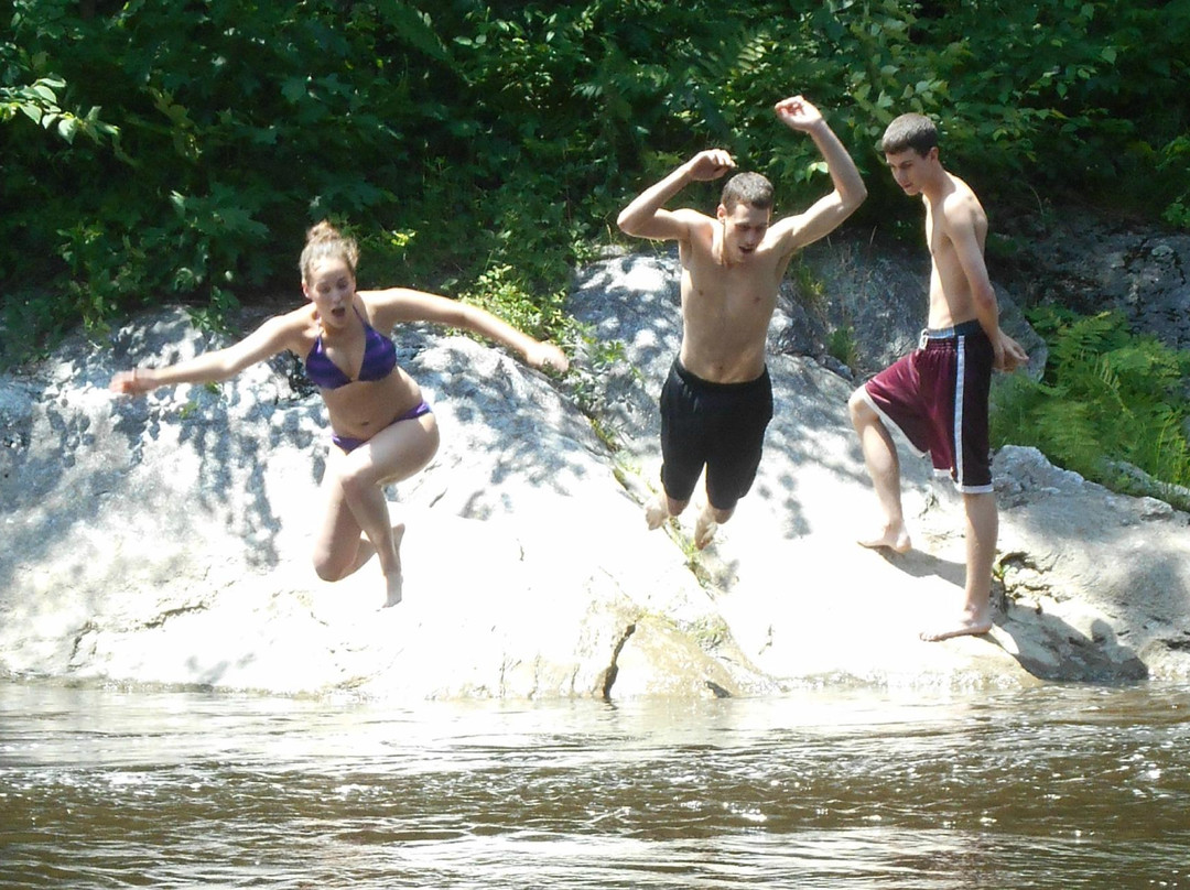 Jamaica State Park-Jamaica必去景点