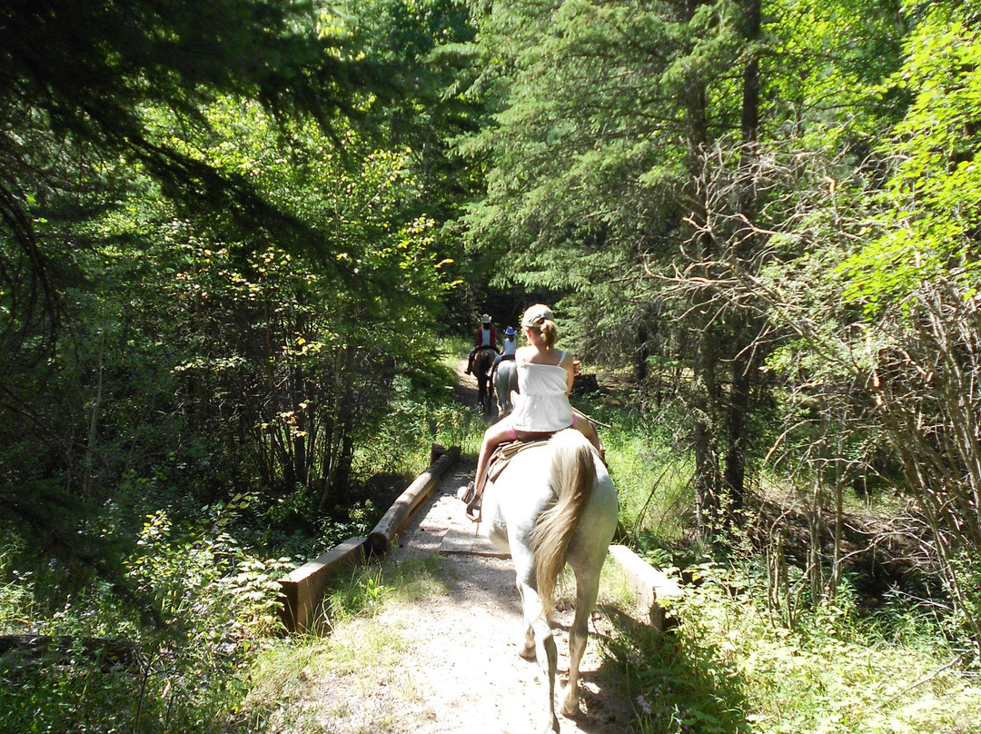 The Stables at Palmer Gulch-希尔城必去景点