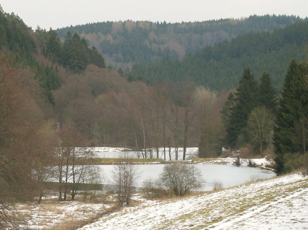 Bärenfichtenweiher-Schmitten必去景点
