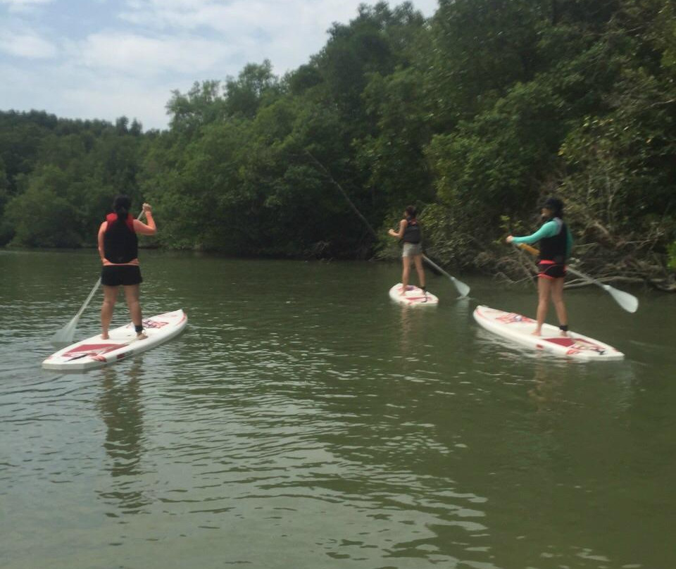 Coastal Paddle景点图片