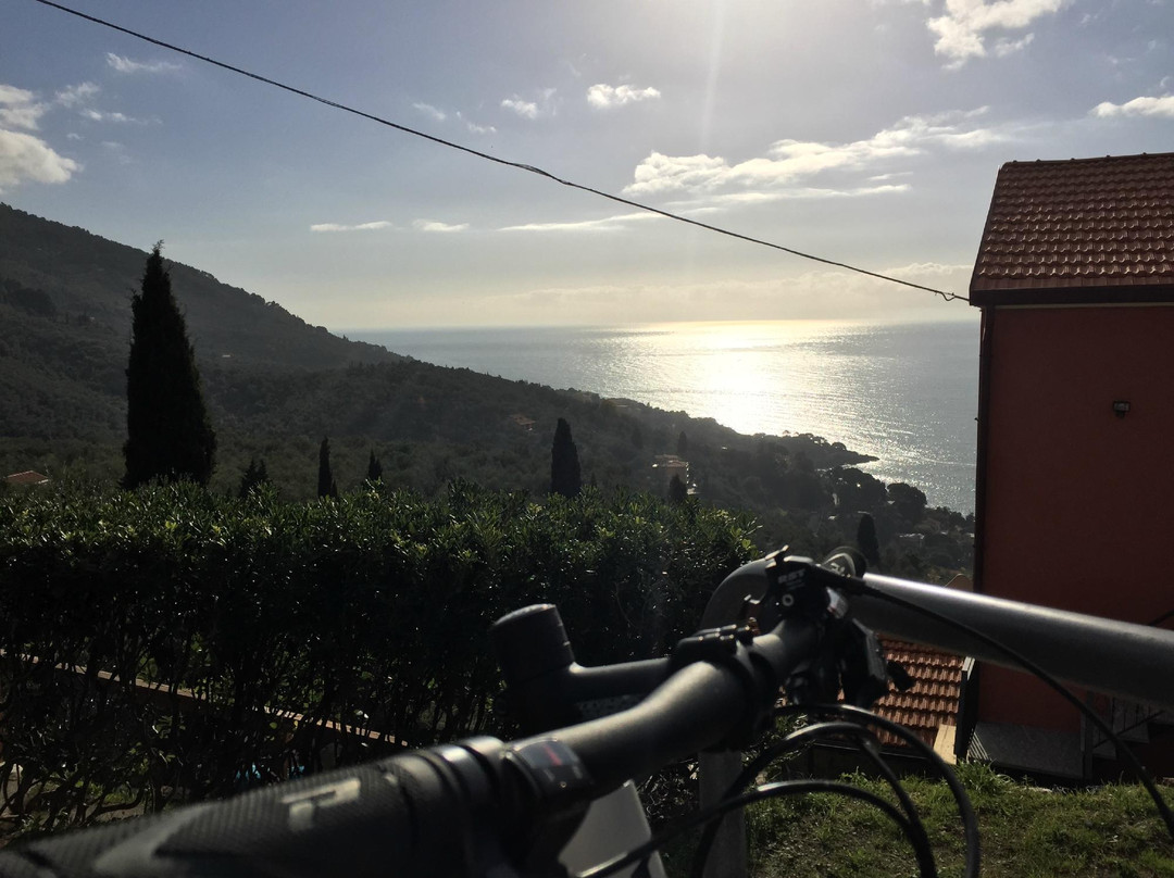 Cinque Terre Bike景点图片