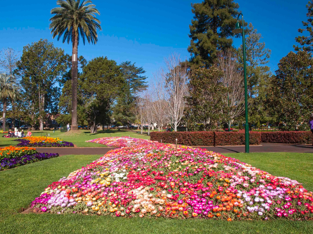 Queens Park Botanic Gardens景点图片