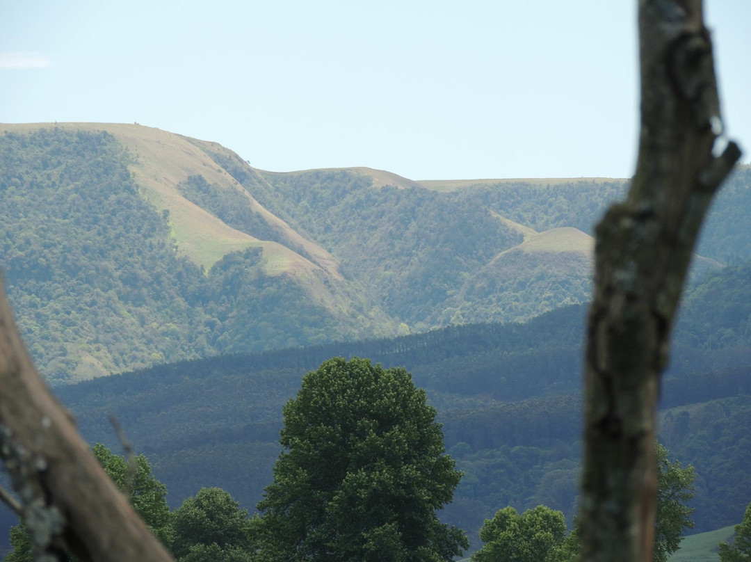 Karkloof Conservation Centre景点图片