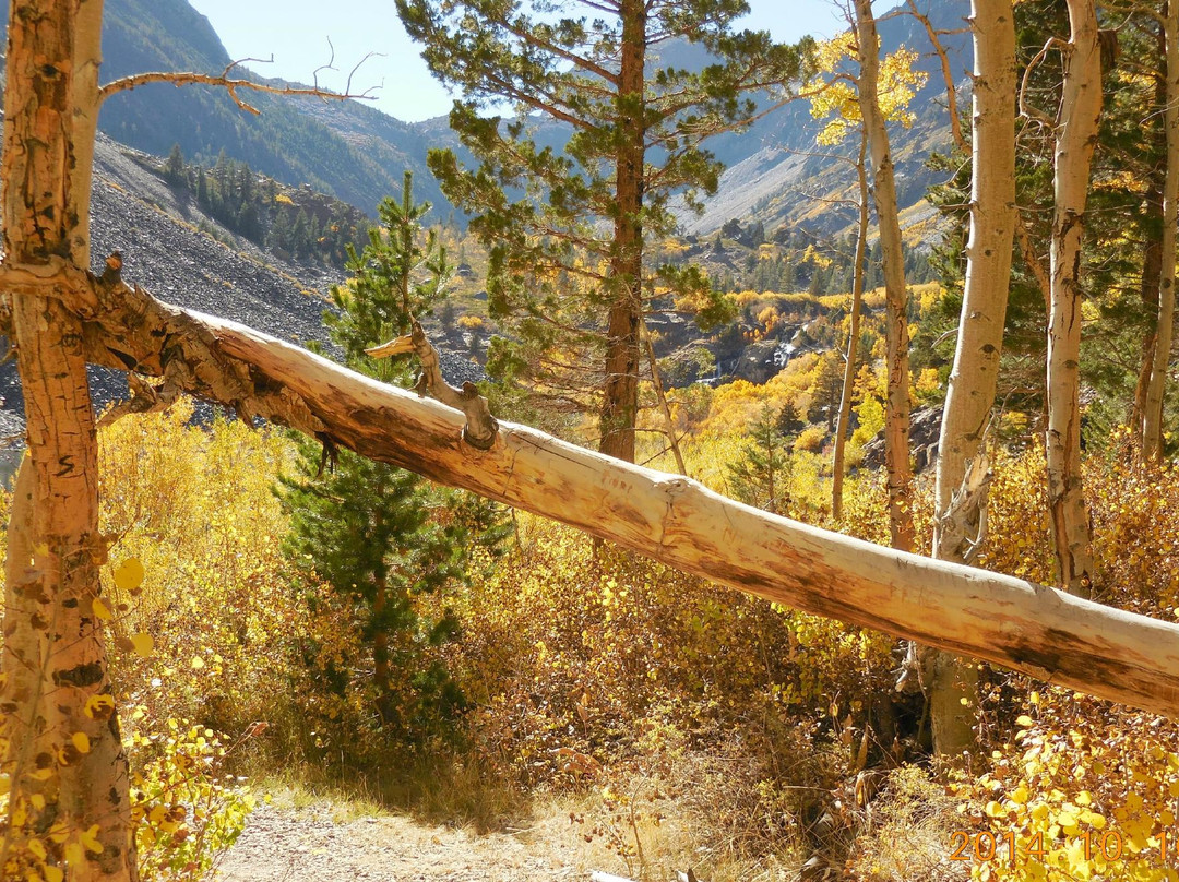 Lundy Lake-利韦宁必去景点