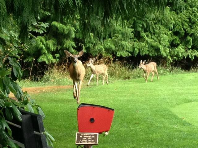 Oregon City Golf Club-Oregon City必去景点