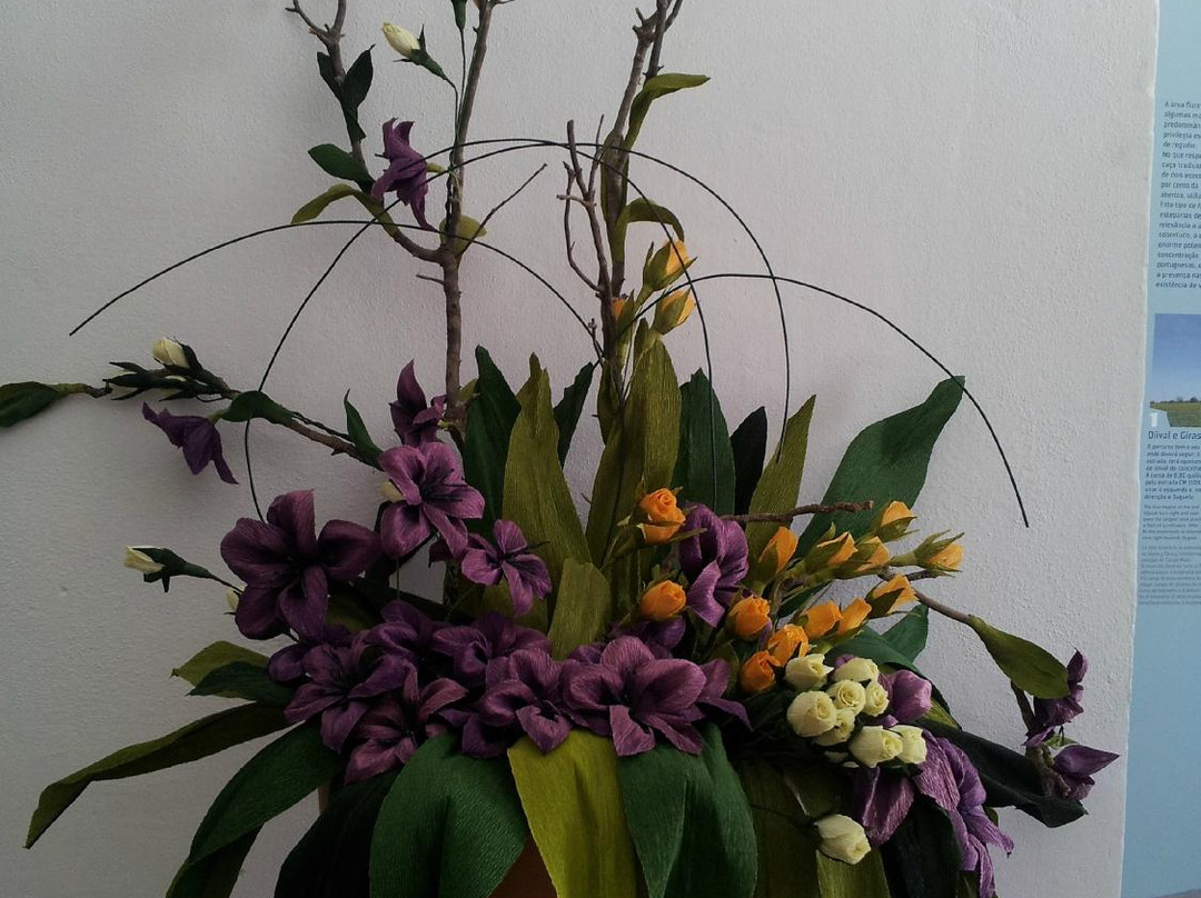 Castelo de Campo Maior-Campo Maior必去景点