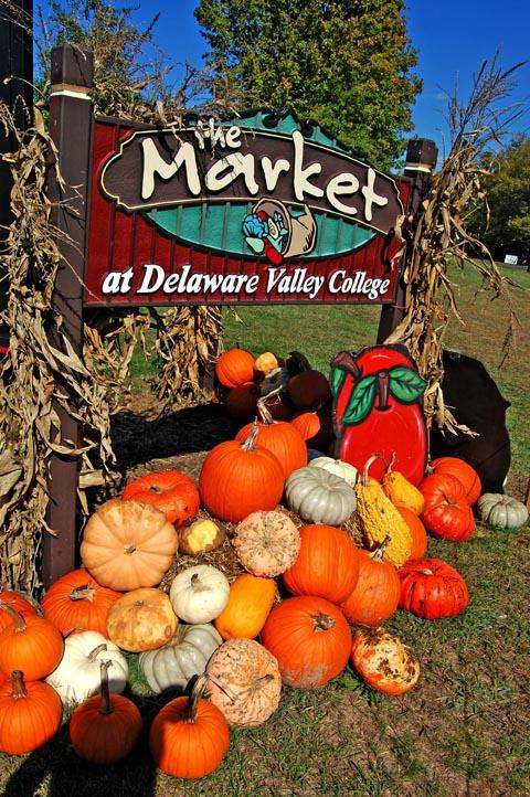 The Market  at Del Valley College景点图片