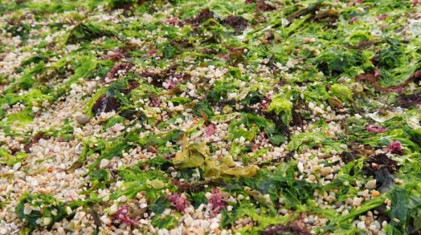 长岛仙境源民俗风情公园-长岛县必去景点