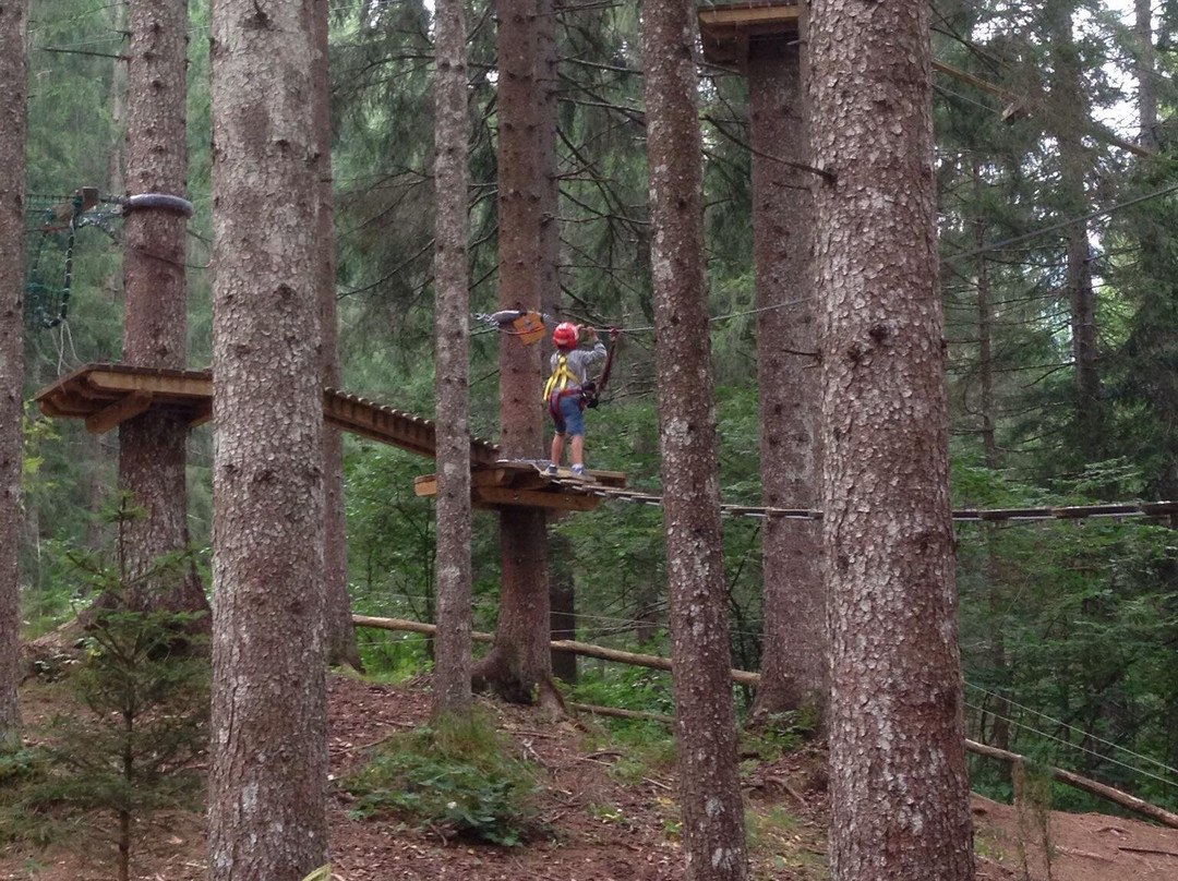 Tre Cime Adventure Park-奥龙佐迪卡多雷必去景点