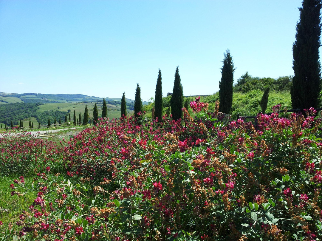 Fattoria il Palagio景点图片