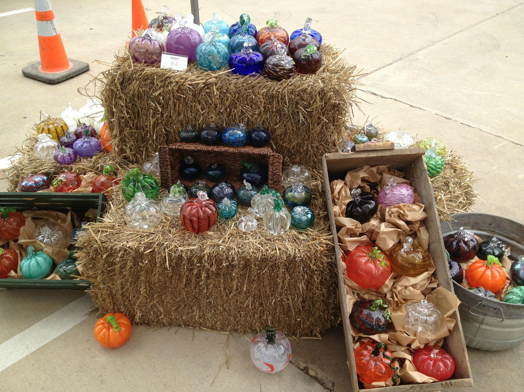 SiNaCa Studios School of Glass and Gallery-沃思堡必去景点