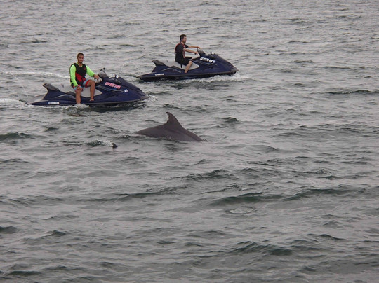Myrtle Beach Watersports-美特尔海滩必去景点