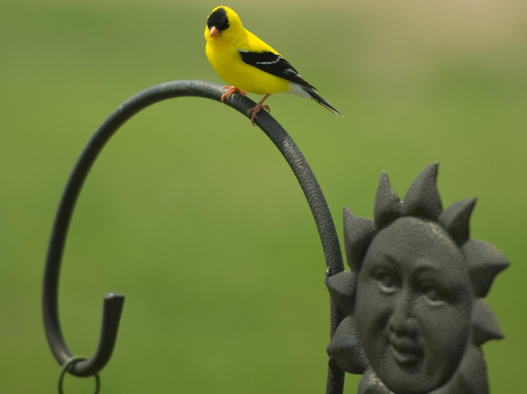 Moose Creek Regional Park-Oxbow必去景点