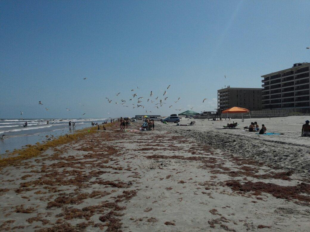 Padre Island Sea Wall Beach-科珀斯克里斯蒂市必去景点