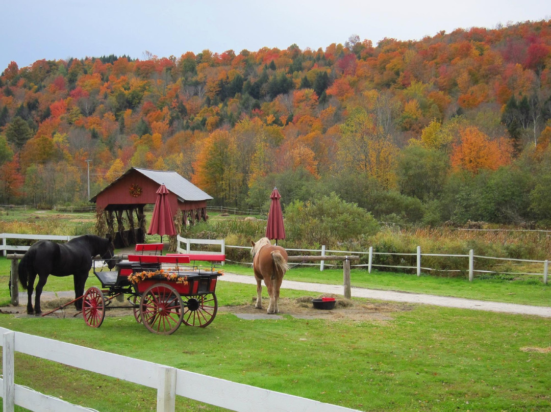 Gentle Giants Sleigh and Carriage Rides-斯托必去景点