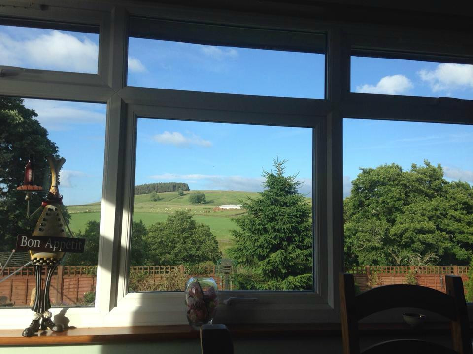 The Dolphins Guest House Bed & Breakfast主图