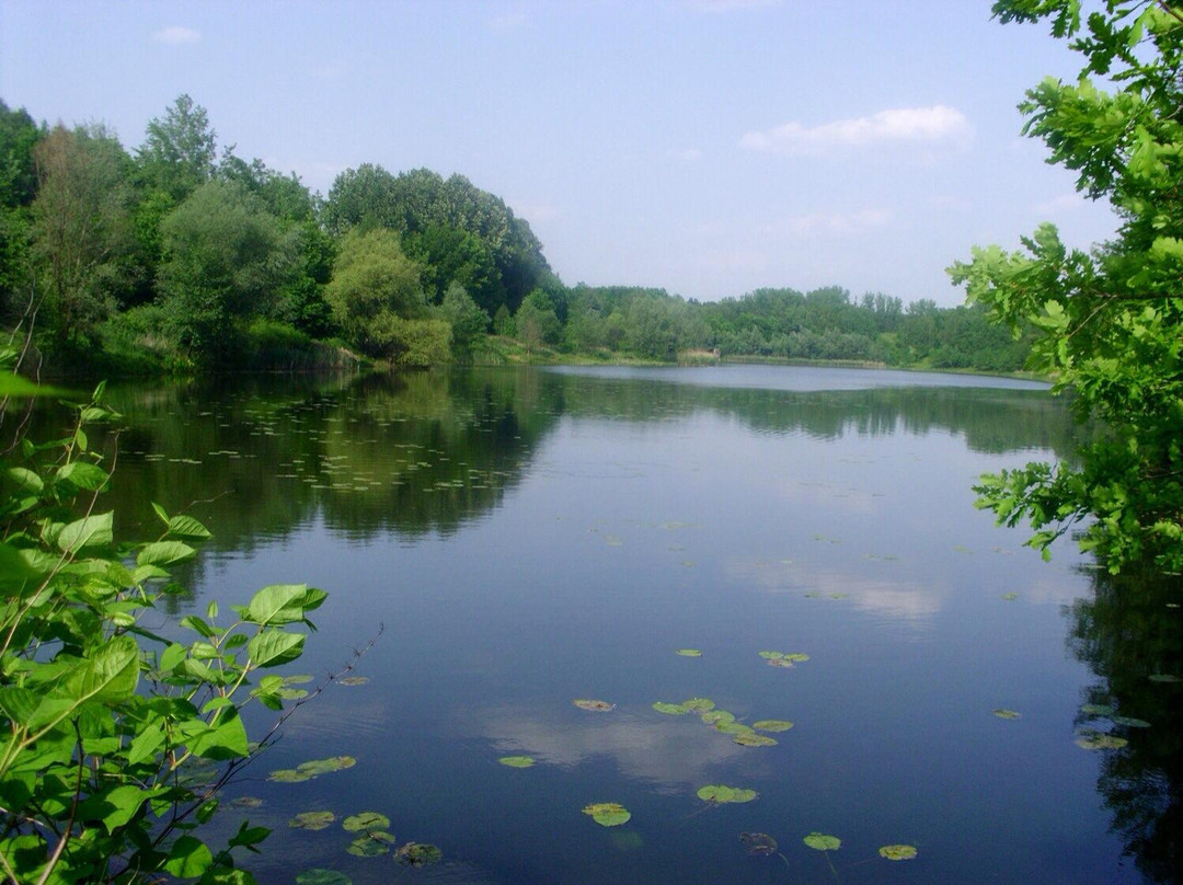 卡托维兹旅游景点-Valley of Three Ponds