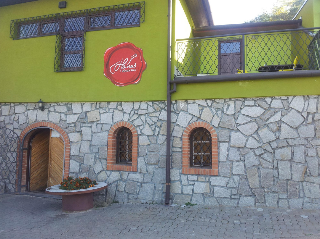 Pohorelice酒店住宿-Penzion Vinarstvi Hanus