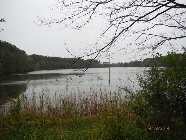 Hoffler Creek Wildlife Preserve-朴次茅斯必去景点