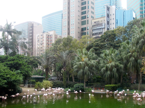 九龙城寨公园-香港必去景点