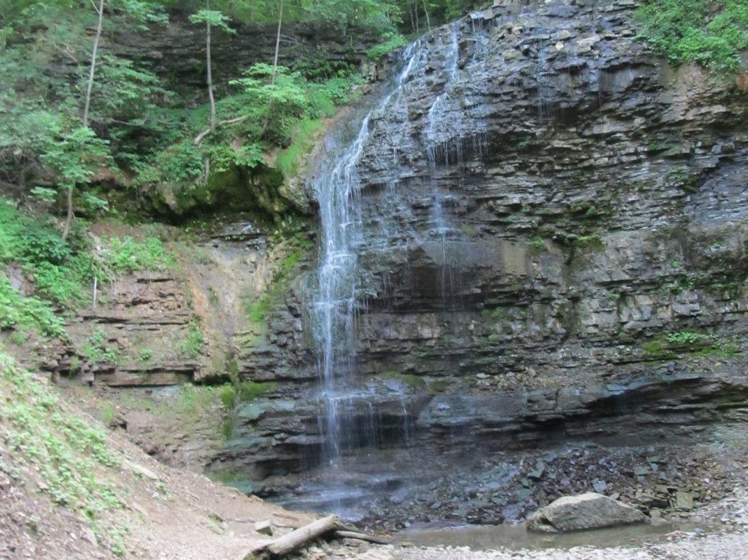 Tiffany Falls Conservation Area-安卡斯特必去景点