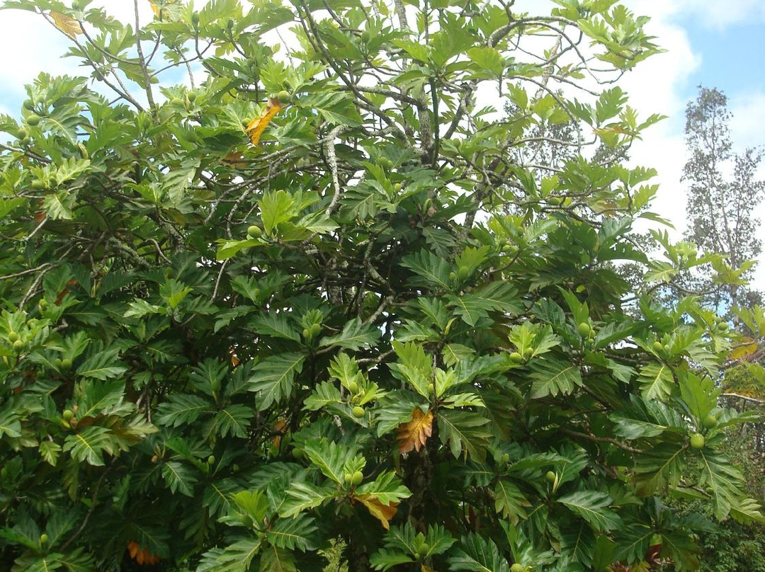 Rainbow Retreat Center主图