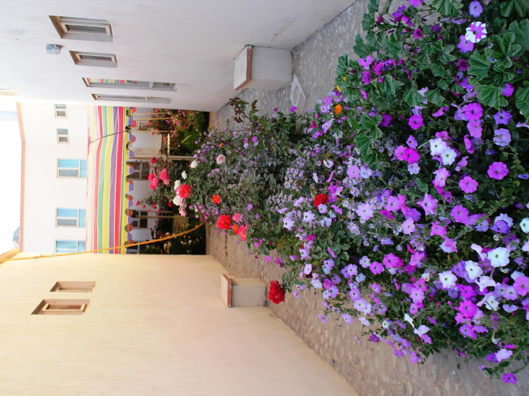 Norban Qala Guest House主图