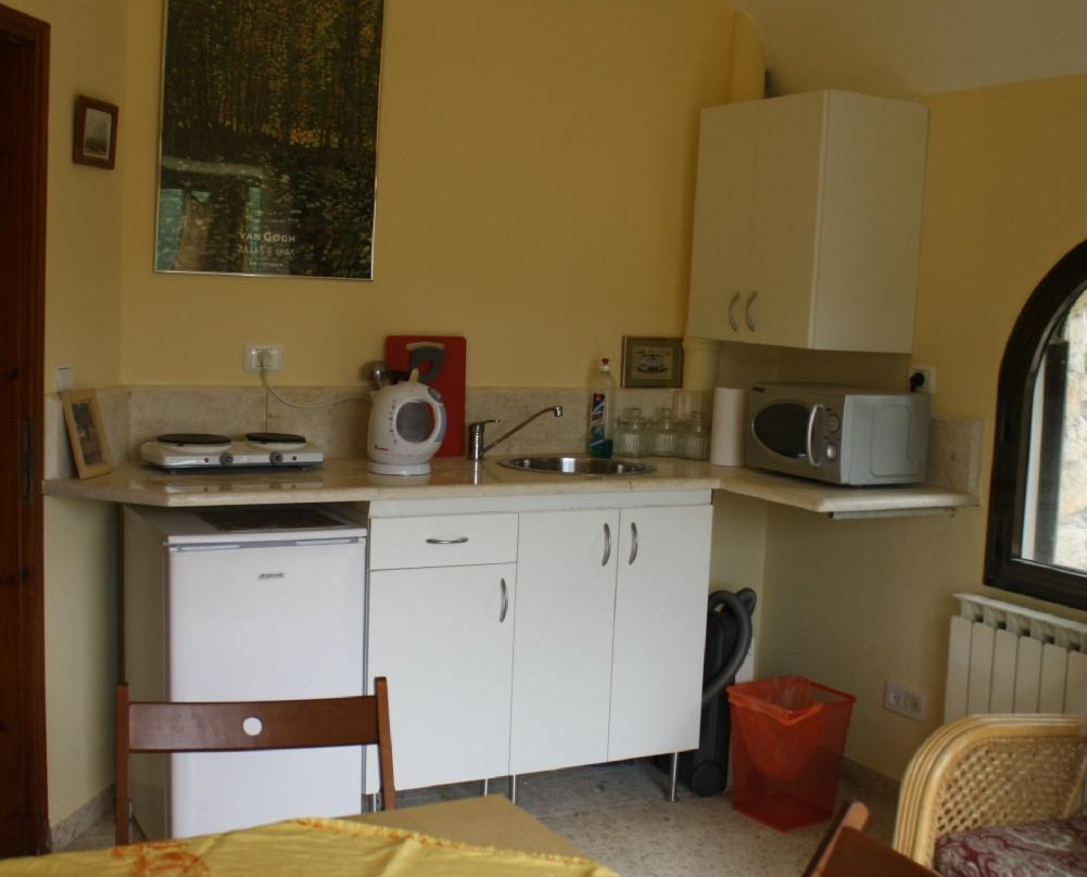 Cactus Tzimmer主图