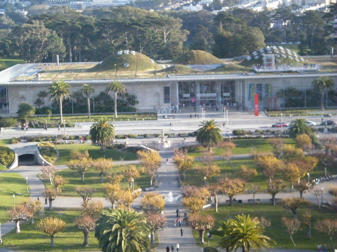 笛洋美术馆-旧金山必去景点