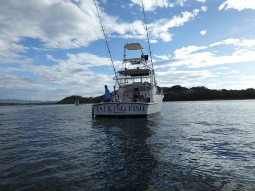 Tamarindo Sportfishing-塔马林多必去景点