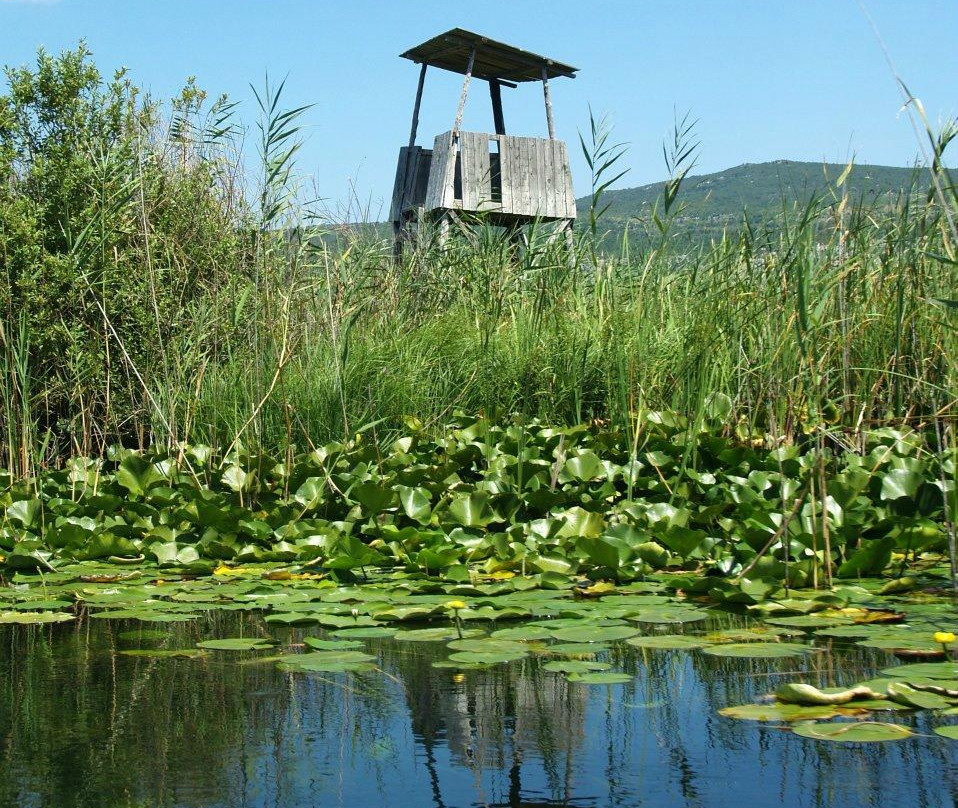 Nature Park Hutovo Blato景点图片