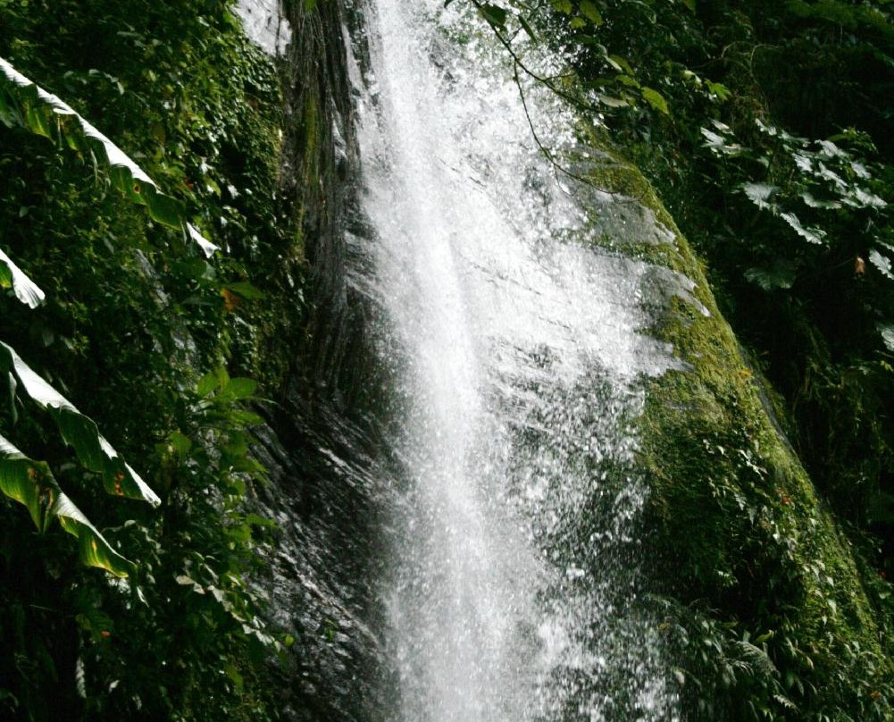 Double River Falls-Arima必去景点