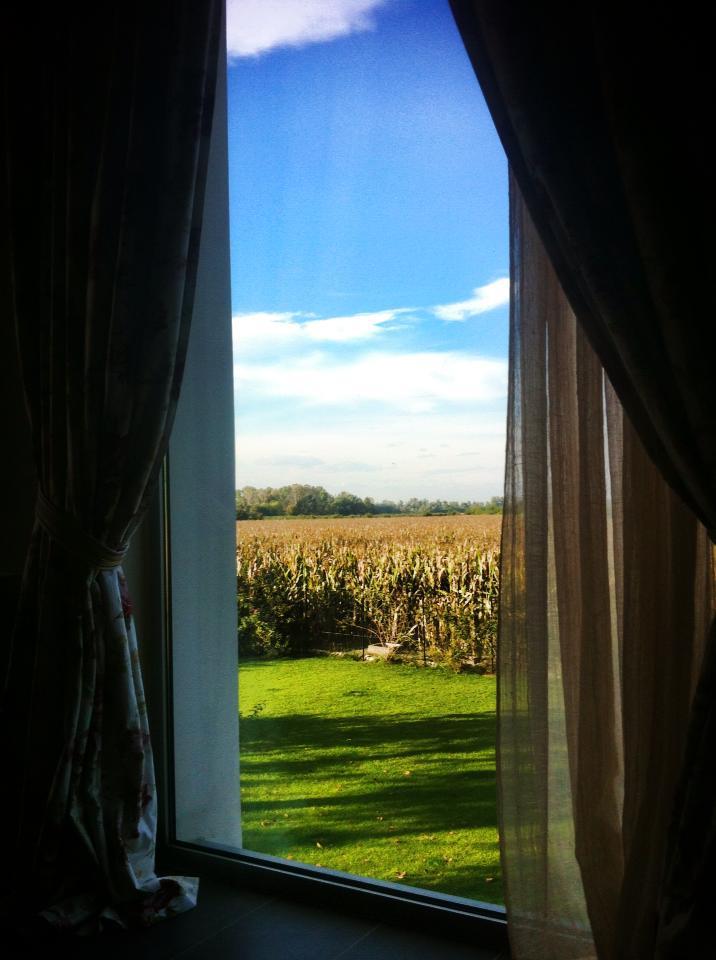 Il Segreto di 'Milia Country B&B-酒店景观