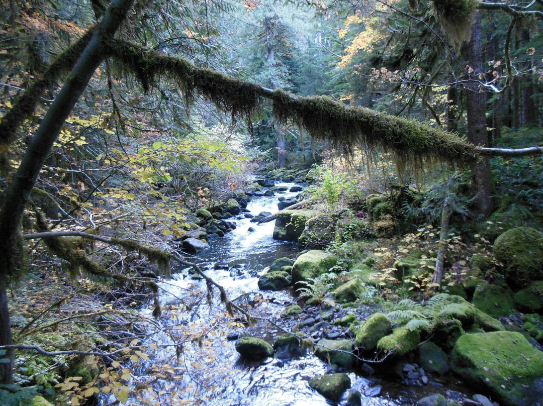 Falls Creek Falls-Carson必去景点