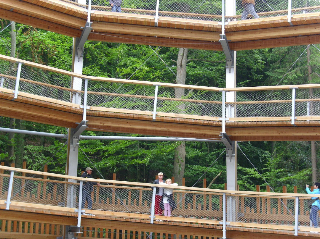 Baumwipfelpfad im Naturerbe Zentrum Rügen景点图片