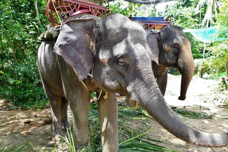 南门瀑布-苏梅岛必去景点