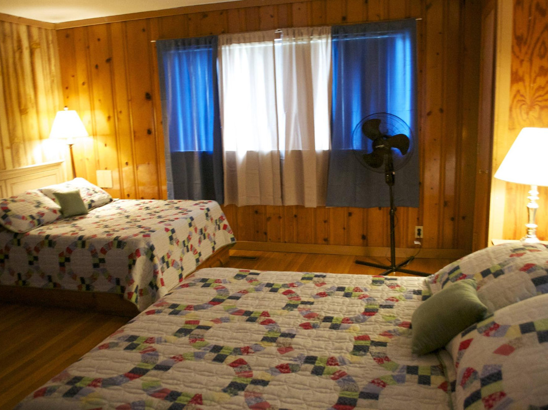 Alligator II Marina-Russell Springs必去景点