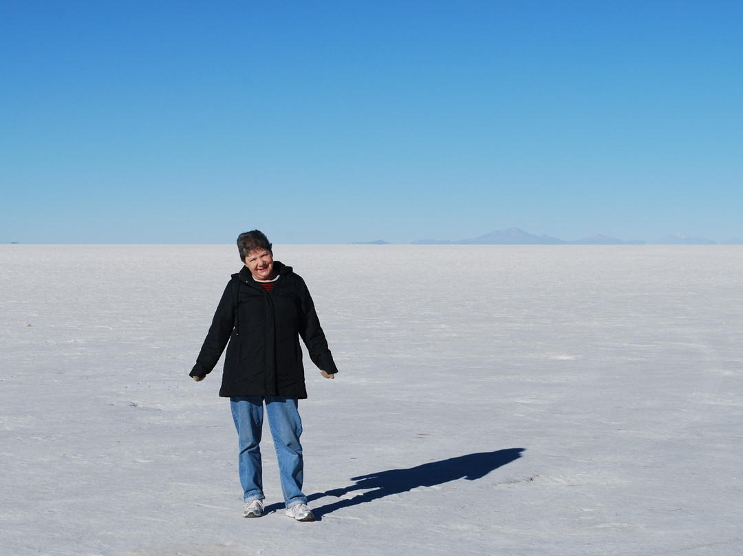 Salt Flats Uyuni Expedition -Day Tour景点图片
