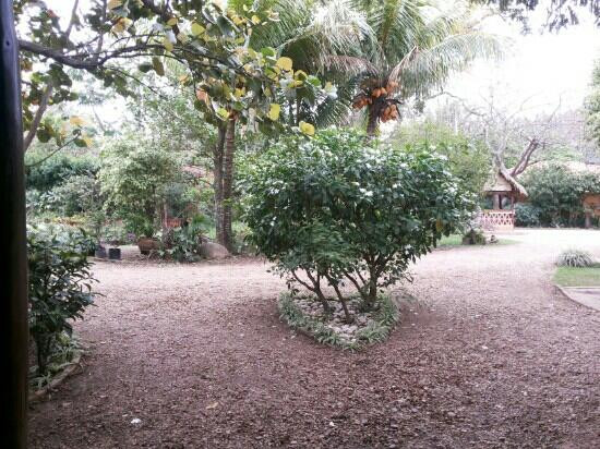 Parque Ecologico Yvaga Guazu - Paraiso Grande-圣克鲁斯省必去景点