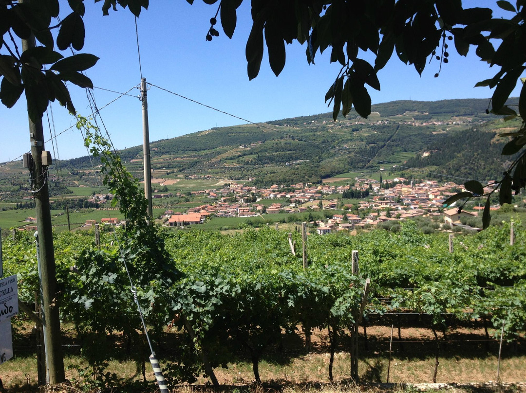 Azienda Agricola Dindo-Fumane必去景点