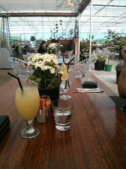 Pinehill餐馆和美食-Cafe Botanix