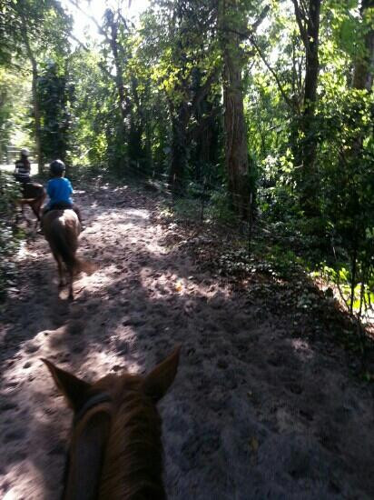 Bar-B-Ranch-戴维必去景点
