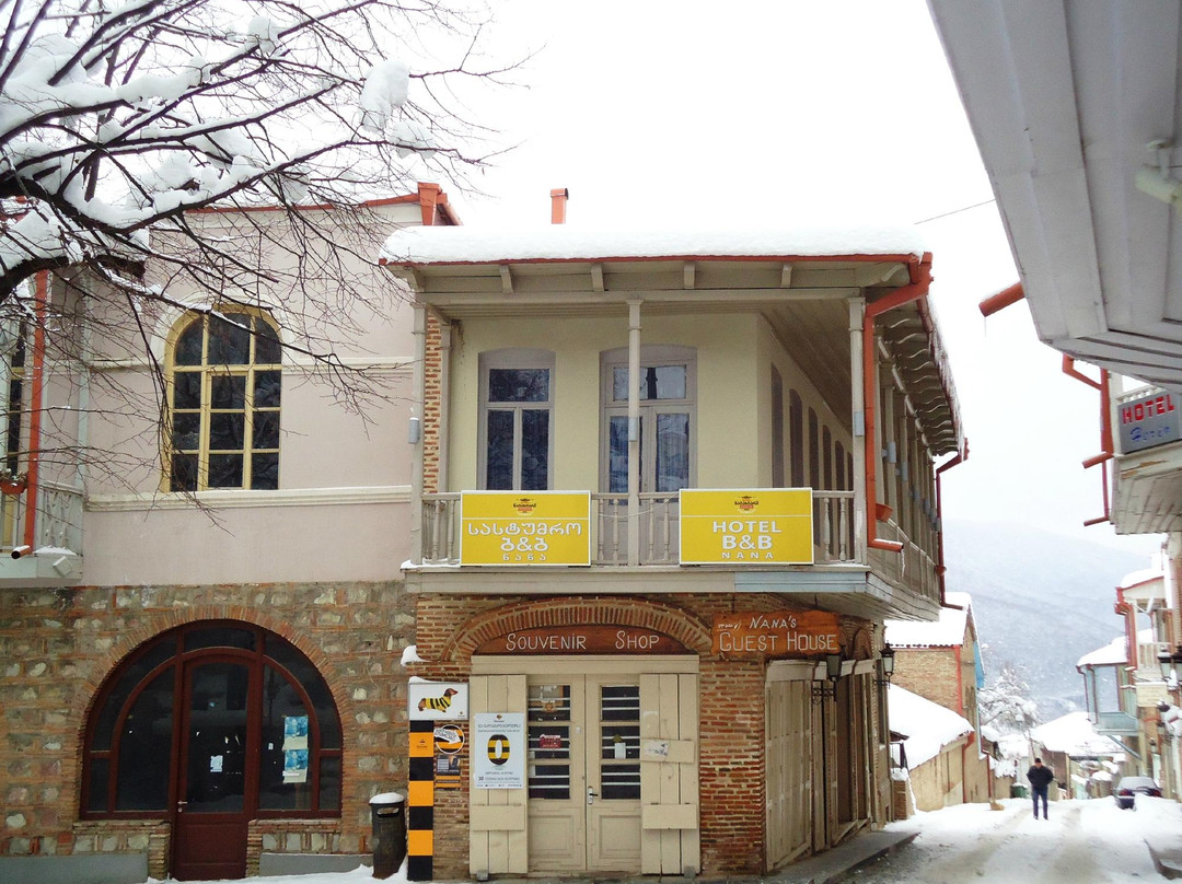 西格纳吉酒店住宿-Nana's Guesthouse
