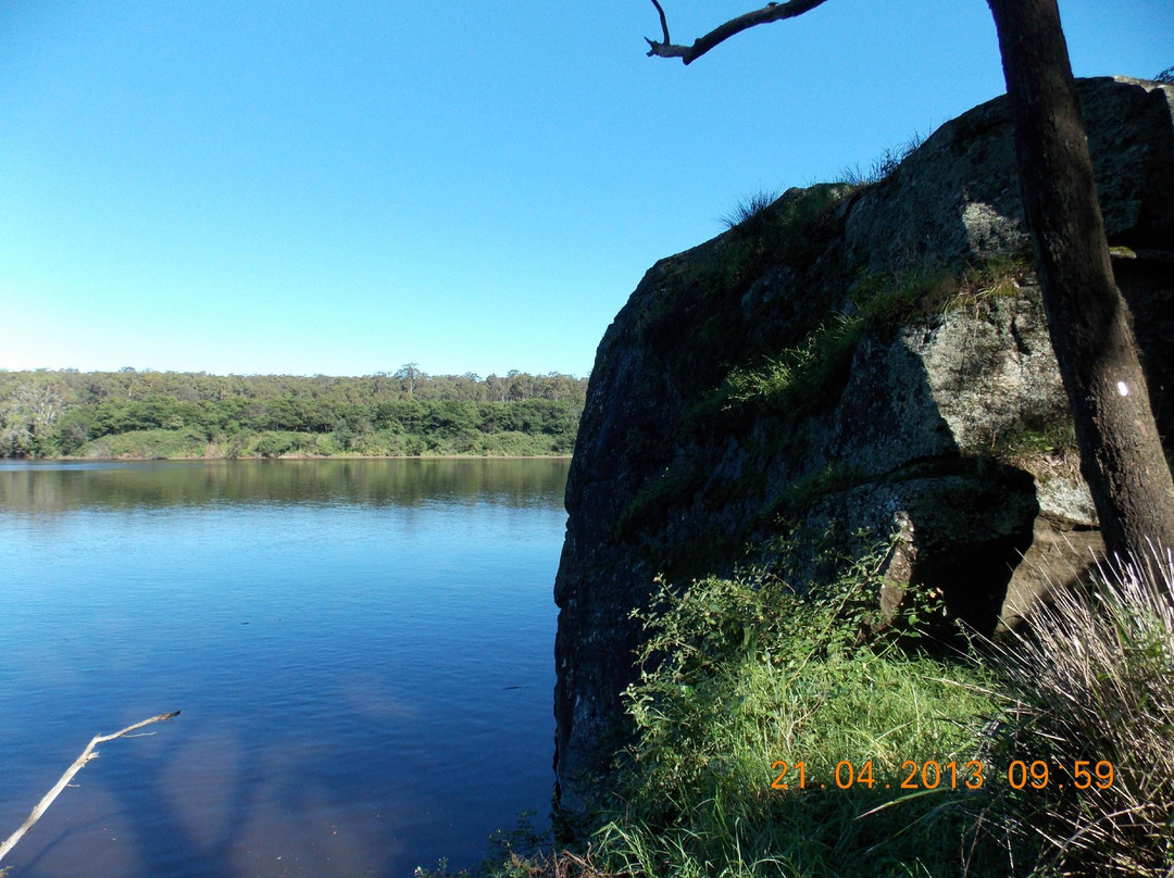 Shoalhaven Zoo景点图片