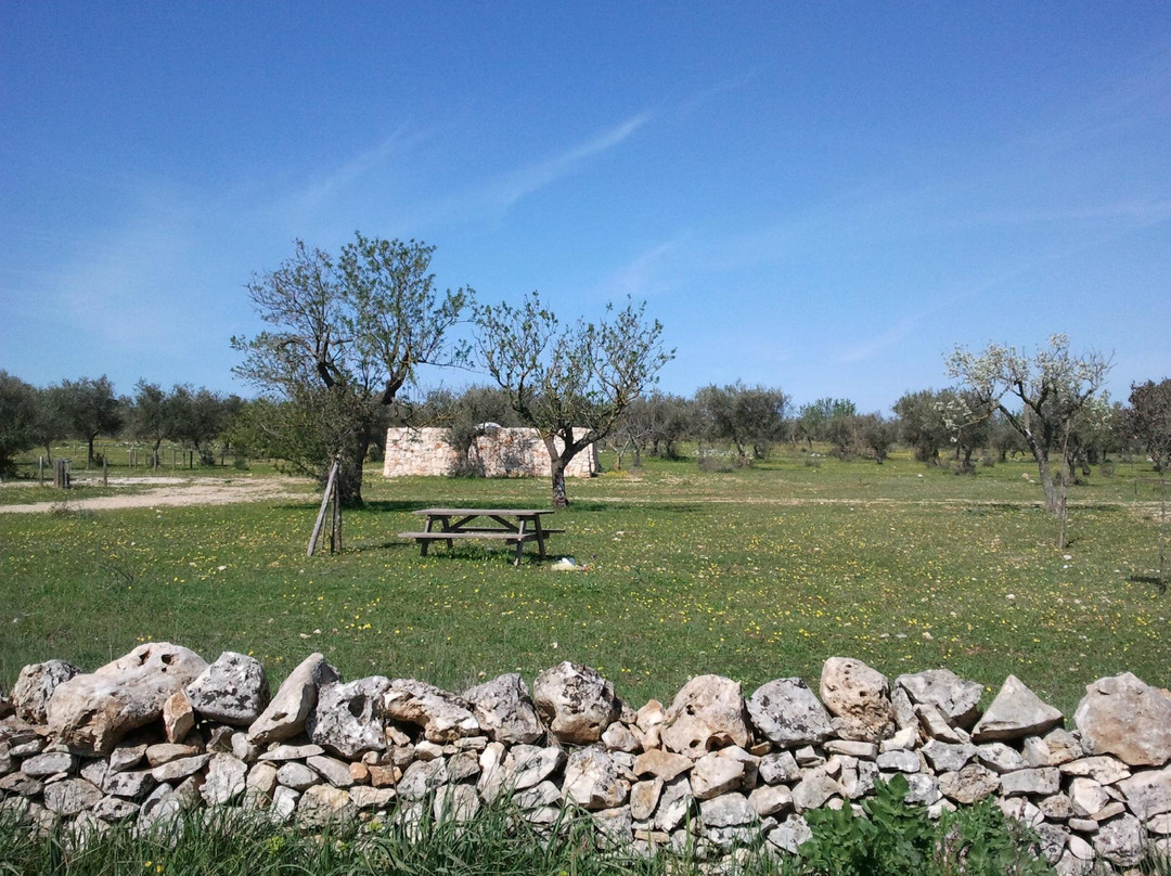 Grotta Di Sant'angelo-Santeramo in Colle必去景点