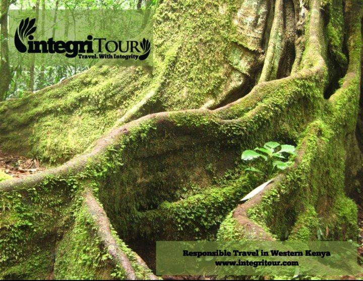 Integritour-基苏木必去景点