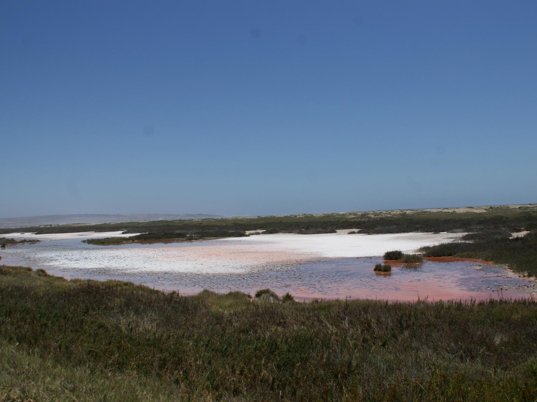 Puerto Viejo-Copiapo必去景点