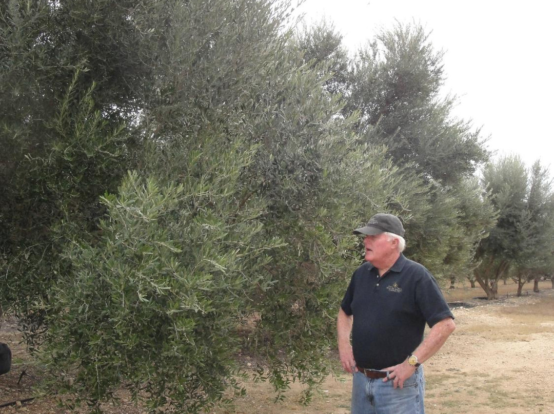 Bella Vista Ranch-Wimberley必去景点