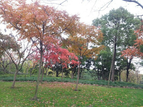 闵行体育公园-上海市必去景点