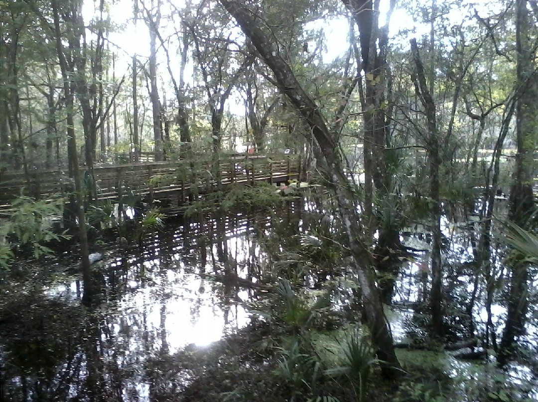 生菜湖地区公园-坦帕必去景点